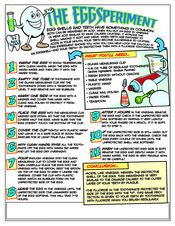 EggSperiment activity sheet at Pediatric Dentist Office in Clarks Summit