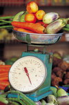 Fruits and Vegetables on Scale at Pediatric Dentist Office in Clarks Summit